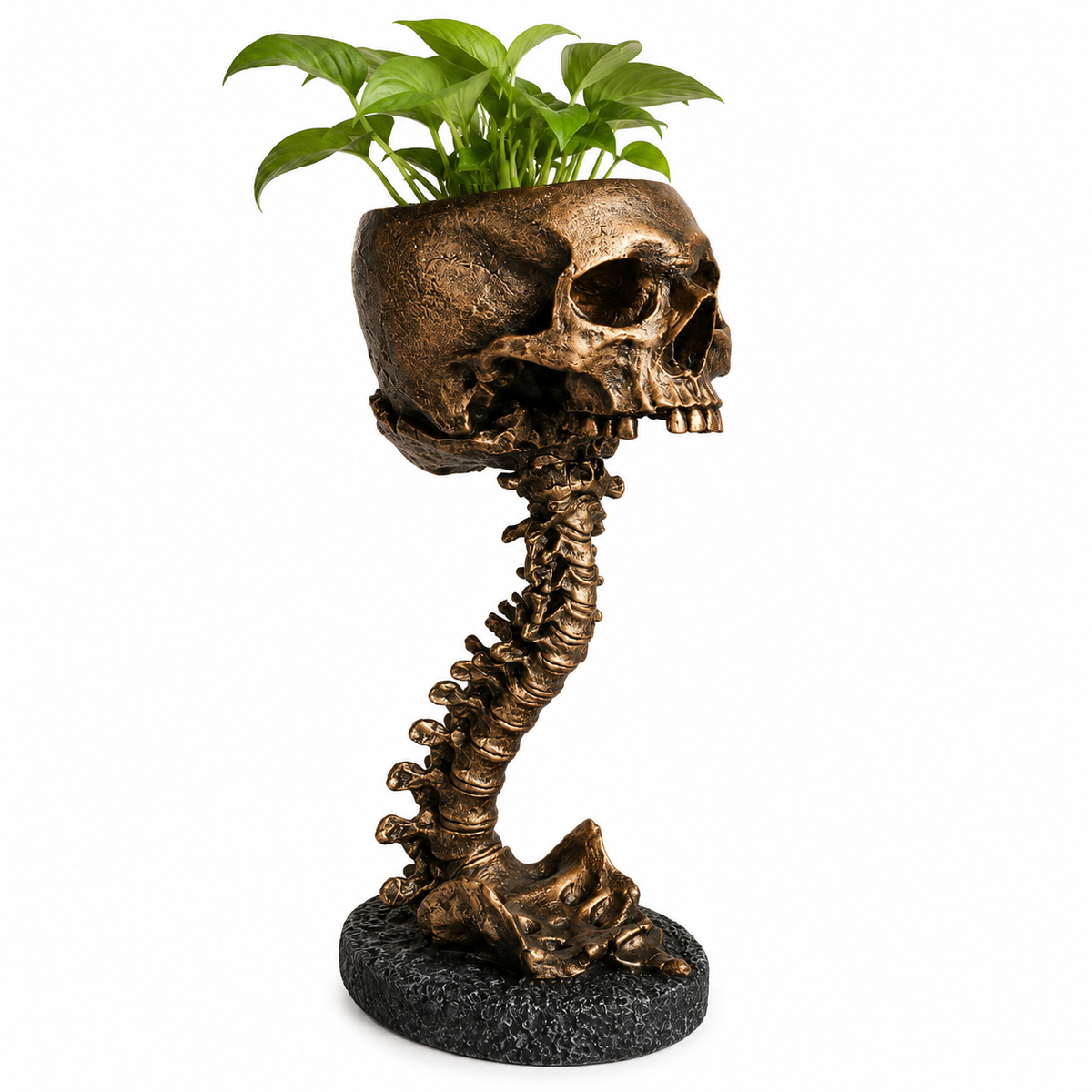 The Keeper of Forgotten Blooms