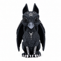 The Hollow Raven