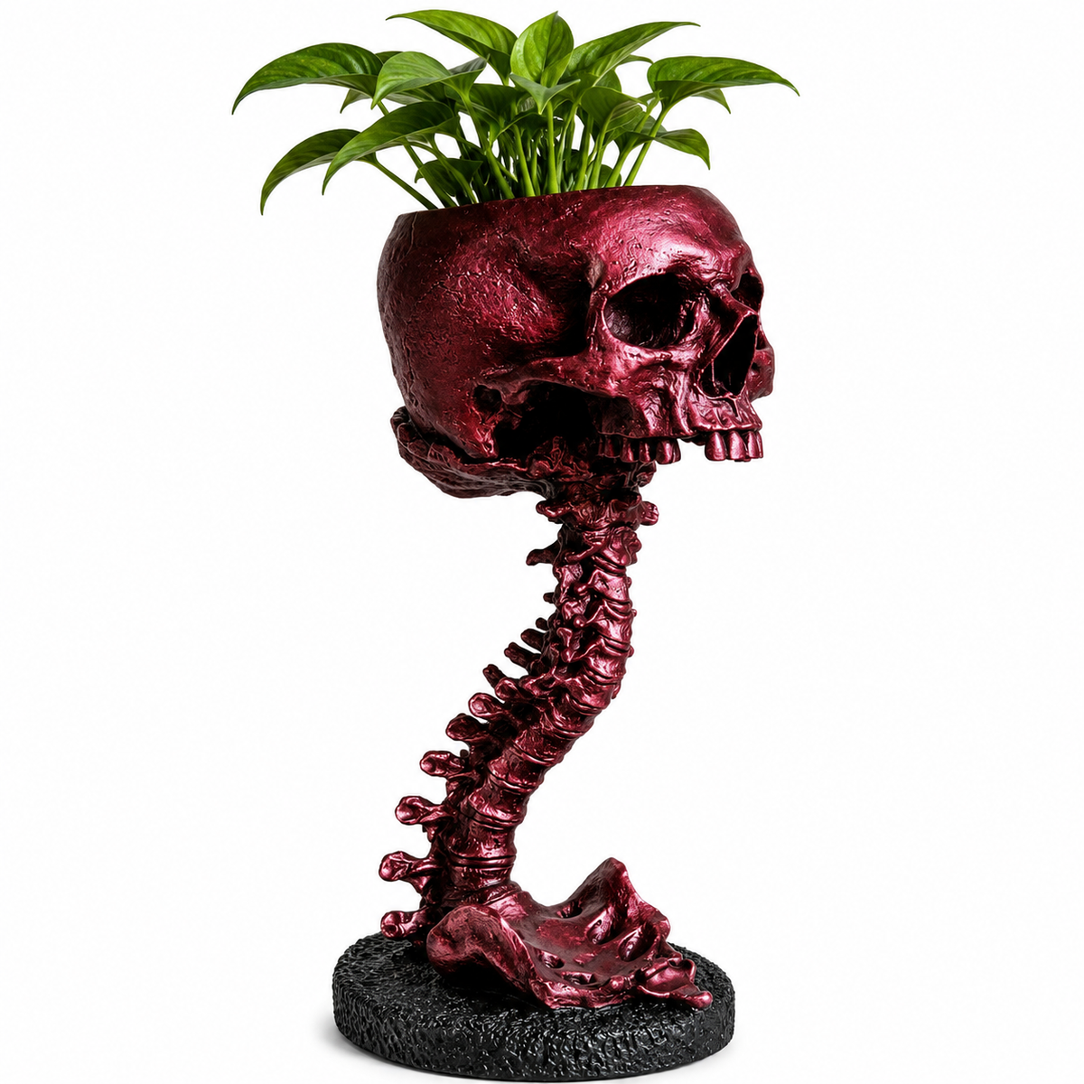 The Keeper of Forgotten Blooms