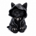 The Cloaked Cat