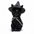 The Witch's Familiar